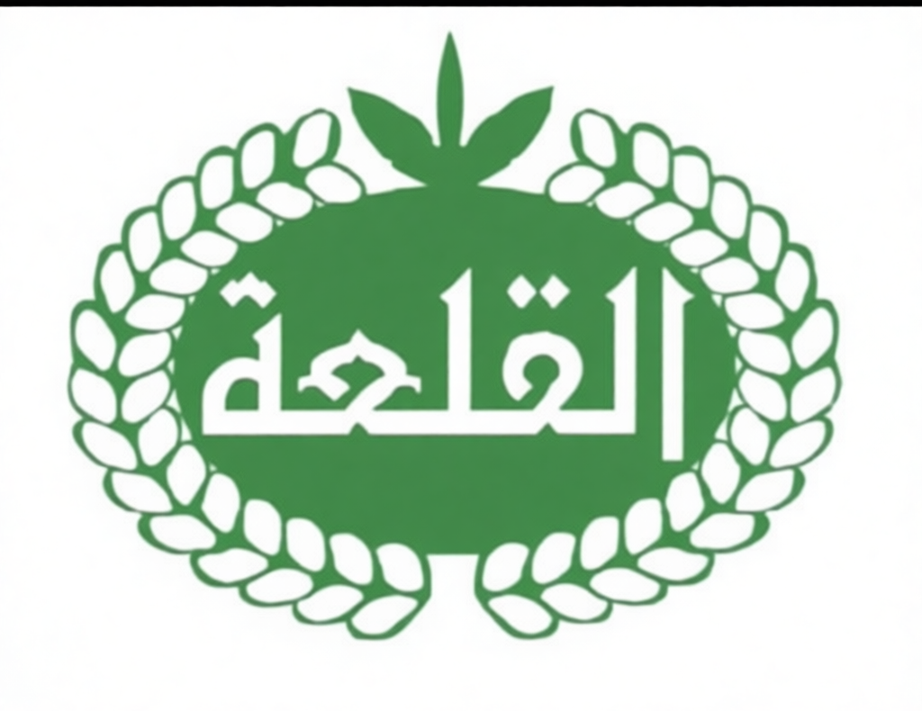 شركة القلعة